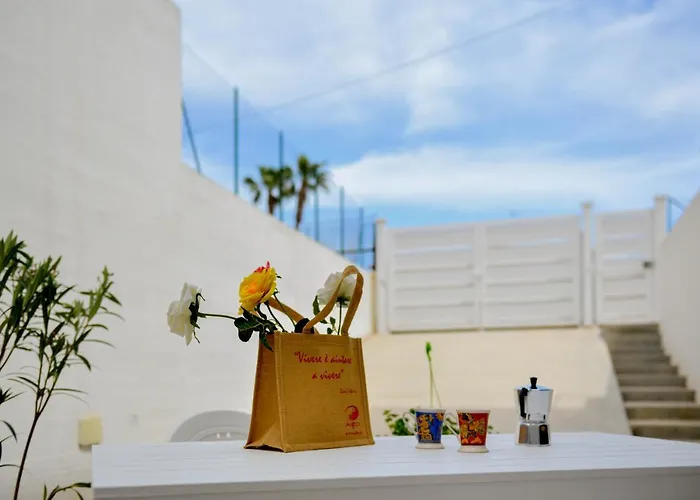 Laura Charme * アヴォラ