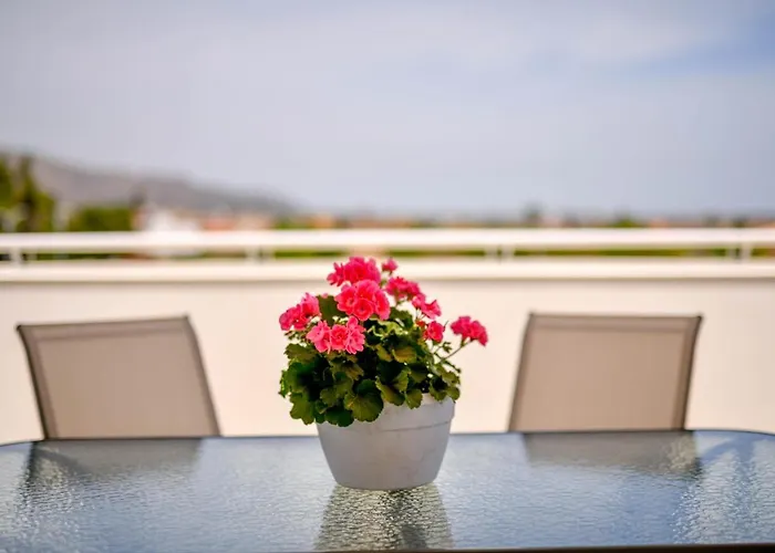 Laura Charme アヴォラ